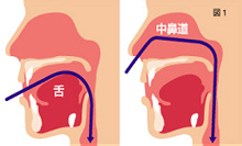 イラスト：極細径スコープでの経鼻胃内視鏡検査のメリットのイメージ